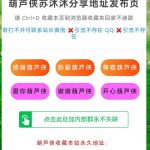 一款超好看的苏沐沐分享二开美化引导页源码2.0-樱花云社区-樱花主机社区