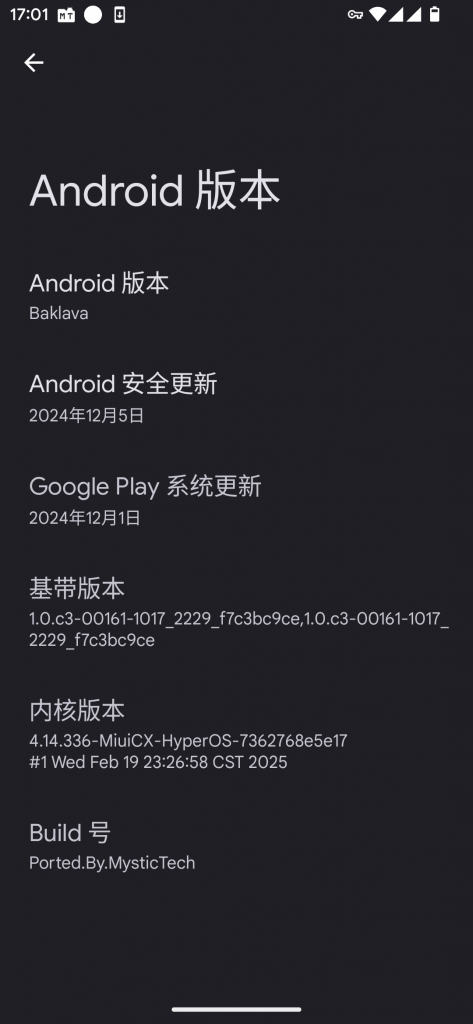 20250319173410127-1000018473